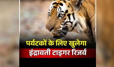 Indravati Tiger Reserve: छत्तीसगढ़ बनने के बाद पहली बार खुलेगा इंद्रावती टाइगर रिजर्व एरिया, पर्यटकों को मिलेगी ये सुविधा, वन विभाग ने शुरू किया काम