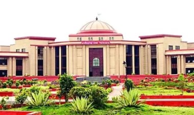 रायपुर में पकड़ी गईं विदेशी युवतियां पहुंची हाई कोर्ट, केंद्र और राज्य से दो हफ्ते में मांगा जवाब