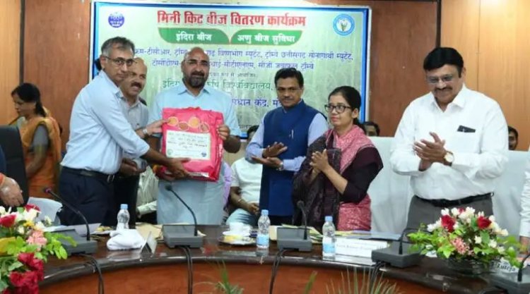 छत्तीसगढ़: IGKV ने तैयार की धान की 6 उन्नत म्यूटेंट किस्में, BARC के सहयोग से हुआ अनुसंधान; किसानों को मिलेगा लाभ